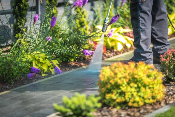 Best Parking Lot and Garage Cleaning  in Mccoll, SC